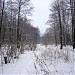 Заболоченный участок в городе Москва
