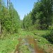 Заболоченный участок в городе Москва