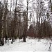Просека от Ельницкого ручья до Центральной торгово-закупочной базы Военторга в городе Москва