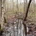 Осушительная канава в городе Москва