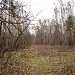 Осушительная канава в городе Москва