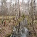 Осушительная канава в городе Москва