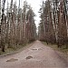Просека от гипермаркета «Лента» до пруда Лось в городе Москва