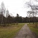 Поляна на территории лесничества в городе Москва