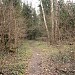 Просека от пруда на реке Лось до Абрамцевской просеки в городе Москва