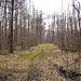 Заболоченный участок в городе Москва
