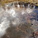 Заболоченный участок в городе Москва