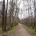 Асфальтированная просека в городе Москва