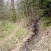 Левый приток реки Лосёнок в городе Москва