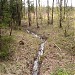 Левый приток реки Лосёнок в городе Москва