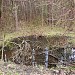 Заболоченный участок в городе Москва