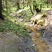 Пересечение просеки с рекой Лосёнок в городе Москва