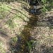 Левый приток реки Лосёнок в городе Москва
