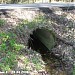Коллектор левого притока реки Лосёнок под Бумажной просекой в городе Москва