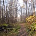 Просека от Иркутской ул. до МКАД в городе Москва