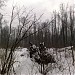 Заболоченный участок в городе Москва