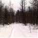 Заболоченный участок в городе Москва