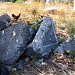 Lycian Sarcopages in Fethiye city