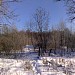 Здесь располагались дачные участки в городе Москва
