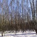 Тренировочная площадка в городе Москва