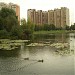 Капустинский пруд в городе Москва