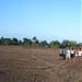 RAGHUNATH SOMA PARAB AND FAMILY'S  FARM (en) in Hiwale city