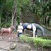 Monumento das Águas na São Pedro city