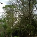 Monumento das Águas na São Pedro city