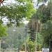 Bosque Municipal Doutor Octávio Moura Andrade na São Pedro city