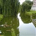 Vijver Niftarlakeplantsoen (en) in Utrecht (Agglomeratie) city