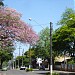 Visão do Cruzamento na Rolândia city