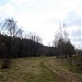 Луг в городе Москва
