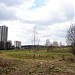 Луг в городе Москва