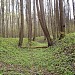 Долина левого притока Комаровской речки в городе Москва