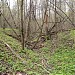 Долина левого притока Комаровской речки в городе Москва