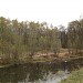 Коса на Собачьем пруду в городе Москва