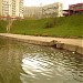 Сток коллектора реки Водянки в пруд в городе Москва
