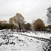 Зарастающее поле в городе Москва