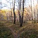 Детская игровая площадка в городе Москва