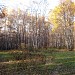 Детская игровая площадка в городе Москва