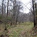 Долина правого притока Комаровской речки в городе Москва