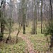 Долина правого притока Комаровской речки в городе Москва