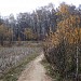 Коса на Собачьем пруду в городе Москва