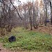 Верховья Сеньковского оврага в городе Москва