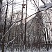 Территория клинического филиала № 2 Московского научно-практического центра наркологии в городе Москва