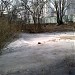 Заболоченный пруд в городе Москва