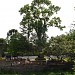Praça do Pau d'Alho na Guararema city