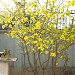 Gia đình Hùng Nga Cường Thư trong Thành phố Biên Hòa thành phố