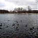 Юго-Восточный Терлецкий пруд в городе Москва