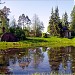 Приютинский пруд в городе Всеволожск